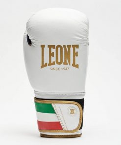 Leone America 1947 ITALY 47 BOXING GLOVES