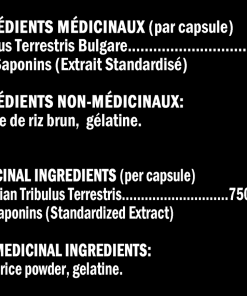 Leone America 1947 TRIBUL-X